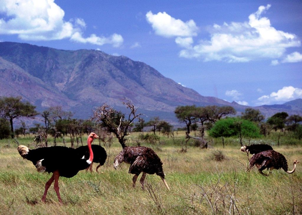 Kidepo National Park