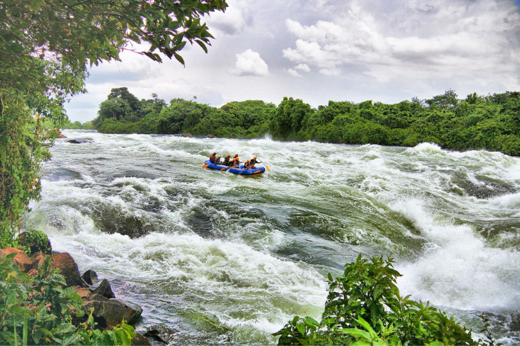 1-Day Jinja White Water Rafting Adventure