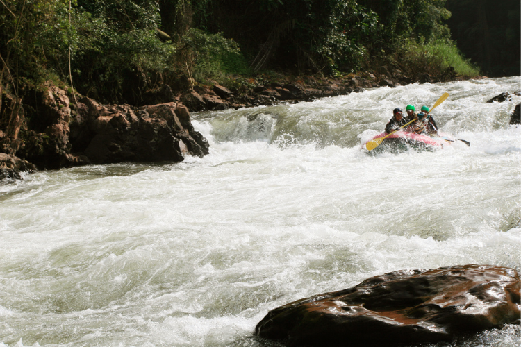 7 Day White Water Rafting & Murchison Adventure